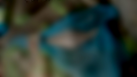 সাতক্ষীরায় সাড়ে ৮ বছর আগে কবর দেওয়া ব্যক্তির মরদেহ আজও অক্ষত!